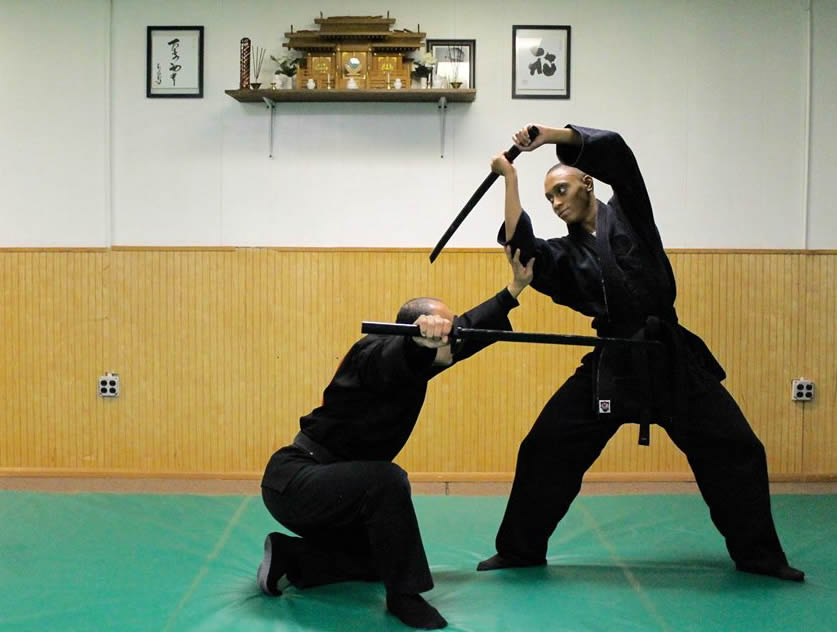 budo taijutsu
