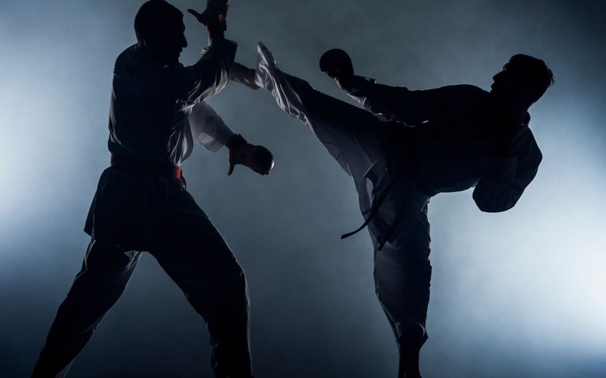 Présentation Karate. Valeurs Karate.